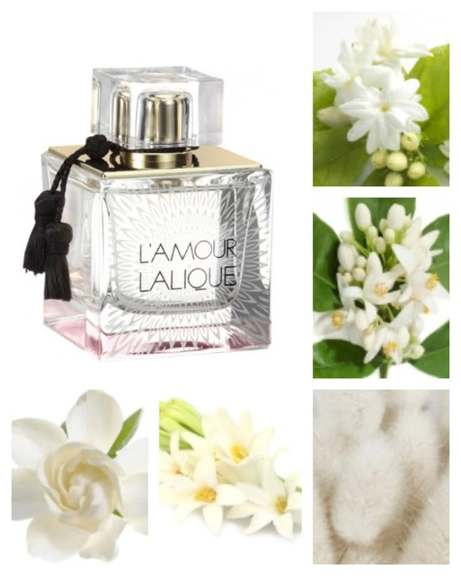 عطر ادکلن لالیک لامور (له آمور زنانه)